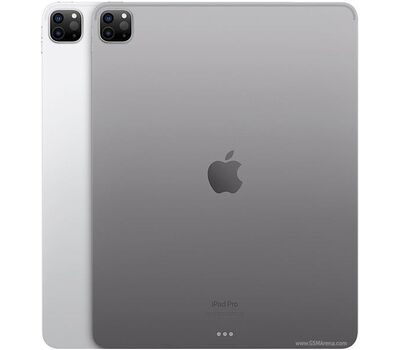 Apple iPad pro 12.9 256gb iPad